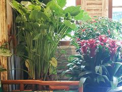 -嘉慧女子水汇