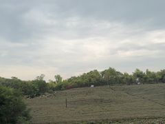 -南京市江宁方山