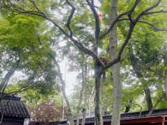 -寒山寺