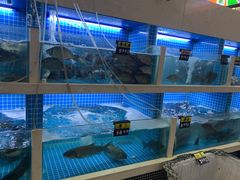 -福达坊批发城(汉阳黄金口总店)