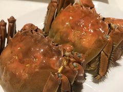 -上海衡山路十二号华邑酒店