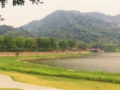 -风云岭森林公园