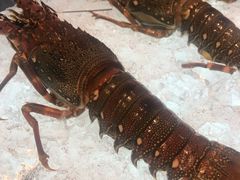 波士顿龙虾-博林天瑞喜来登酒店·西丽尚膳