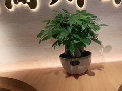 -首秀·四川料理(吾悦广场店)