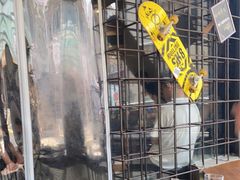 -BE NORMAL CAFE(霞溪路店)