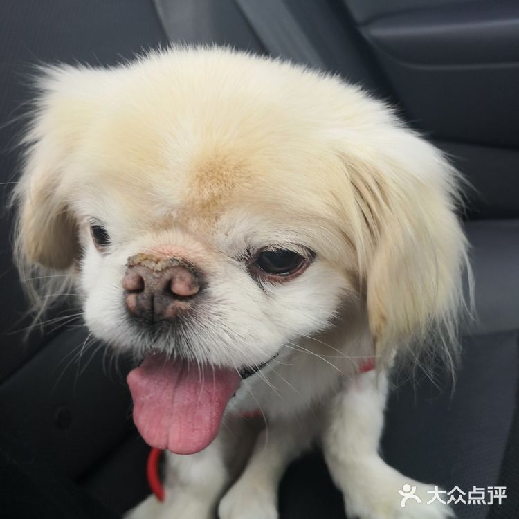 乒小乓，你想姐姐了吗？