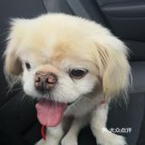 乒小乓,你想姐姐了吗?