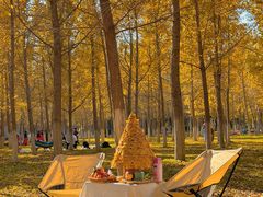 -渭河城市绿地运动公园