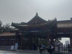 -莲花池公园