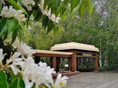 -黑龙江省森林植物园