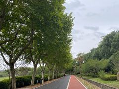 -宜兴龙背山森林公园