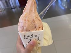 -野人先生现做冰淇淋(北京王府井东方新天地店)