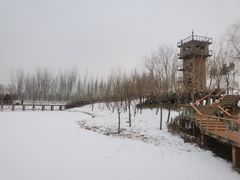 -东郊湿地公园