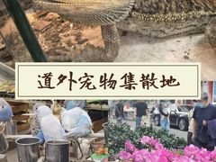 -哈尔滨道外花鸟鱼市场
