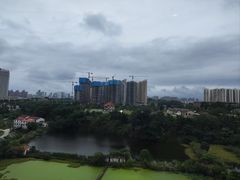 -岳阳东站