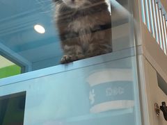 -FAELING PETS美天灵宠物(合生汇店)