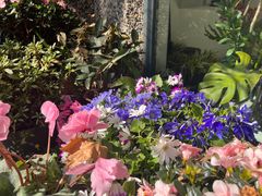 -思南公馆商业街