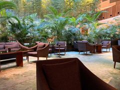 -北京望京凯悦酒店The Lounge大堂酒廊