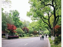 -浙江西子宾馆·瑶园咖啡厅