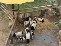 -泉州海丝野生动物世界