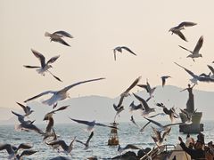 -海云台海滩