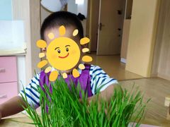 -豆初托育园 Baby Bean Day care Center