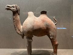 -敦煌市博物馆