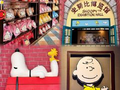 -史努比缤纷世界