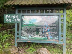 -龙道沟景区