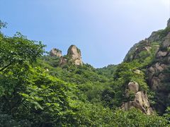 -大岭沟猕猴桃谷风景区