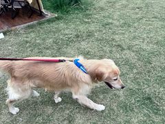 -omitofee咖啡(水泽店)