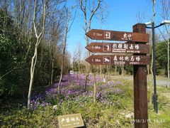 景点-上海海湾国家森林公园