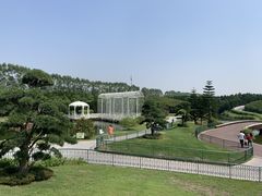 -迪茵湖田家舍生态农场