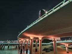 -演武大桥观景平台