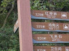 -洛阳白云山景区