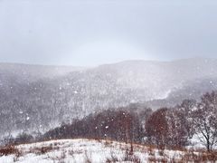 -灵山