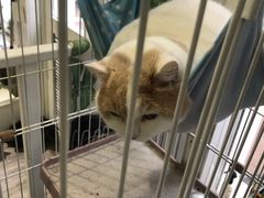 -白衬衫照相馆(五彩店)