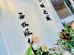 -西双版纳原始森林公园