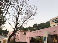 游乐设施-南丫岛