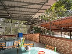 -洞背山庄(洞背院区式管理小区店)