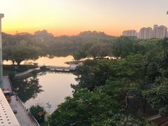 -东莞植物园