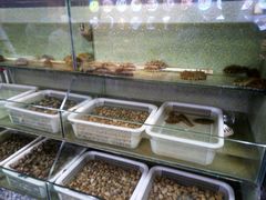 水产区-科信海鲜主题餐厅(南通路店)