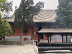 -洛阳白马寺