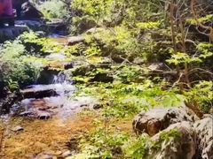 -大平台龙居瀑布旅游区