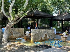 -春晖园度假酒店温泉