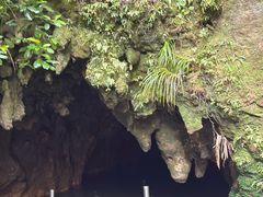 -怀托摩萤火虫洞