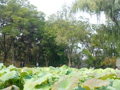 -承德避暑山庄景区