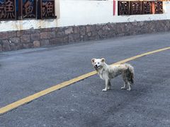 -大王村沙滩