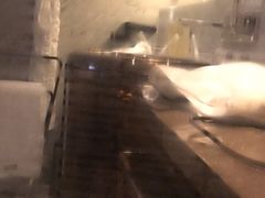 -宁波威斯汀酒店