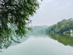 -深圳仙湖植物园